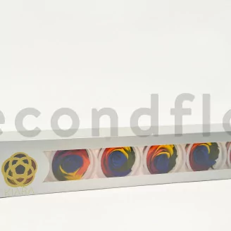 Preserved Rose XL Rainbow (set of 6)