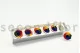 Preserved Rose XL Rainbow (set of 6) 6