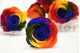 Preserved Rose XL Rainbow (set of 6) 1