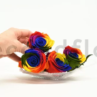 Preserved Rose XL Rainbow (set of 6)