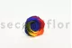 Preserved Rose XL Rainbow (set of 6) 5