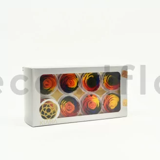 Preserved Rose L Rainbow (set of 8)