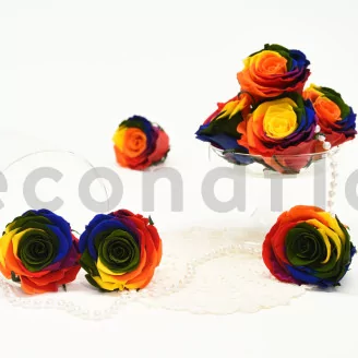 Preserved Rose L Rainbow (set of 8)
