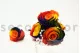 Preserved Rose L Rainbow (set of 8) 7
