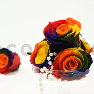 Preserved Rose L Rainbow (set of 8)