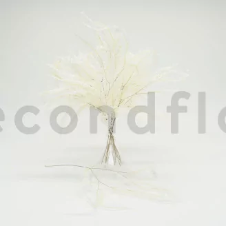 Preserved Mountain Fern Large White
