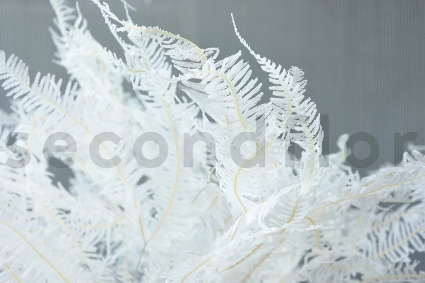Preserved Mountain Fern Large White