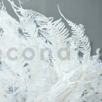 Preserved Mountain Fern Large White