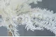 Preserved Mountain Fern Large White 6
