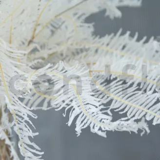 Preserved Mountain Fern Large White