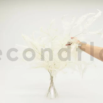 Preserved Mountain Fern Large White