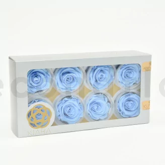 Preserved Rose L Baby Blue (set of 8)