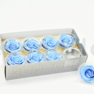 Preserved Rose L Baby Blue (set of 8)
