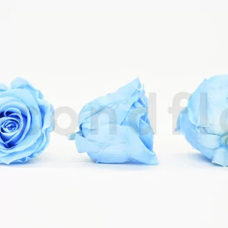 Preserved Rose L Baby Blue (set of 8)