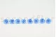 Preserved Rose L Baby Blue (set of 8) 2