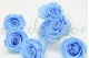 Preserved Rose L Baby Blue (set of 8) 8