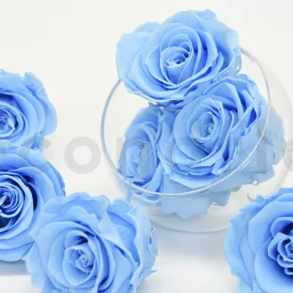 Preserved Rose L Baby Blue (set of 8)
