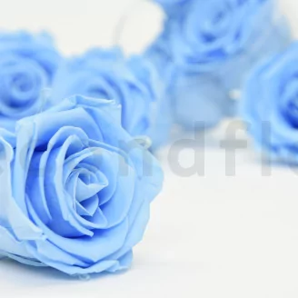 Preserved Rose L Baby Blue (set of 8)