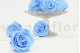 Preserved Rose L Baby Blue (set of 8) 5