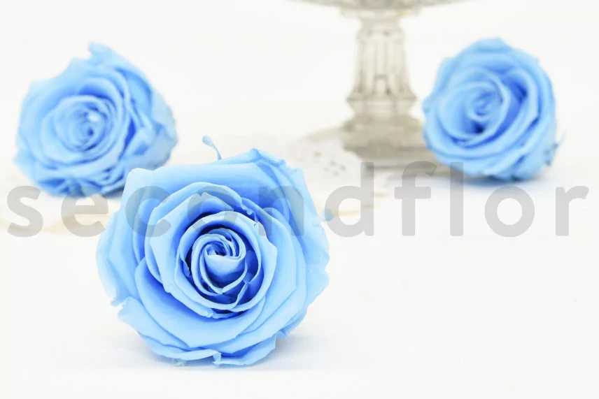 Preserved Rose L Baby Blue (set of 8)