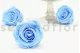 Preserved Rose L Baby Blue (set of 8) 1