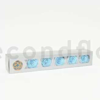 Preserved Rose XL Baby Blue (set of 6)
