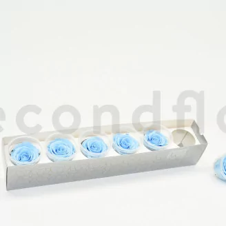 Preserved Rose XL Baby Blue (set of 6)