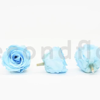 Preserved Rose XL Baby Blue (set of 6)