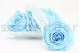 Preserved Rose XL Baby Blue (set of 6) 7