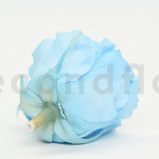 Preserved Rose XL Baby Blue (set of 6)