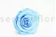 Preserved Rose XL Baby Blue (set of 6) 4