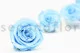 Preserved Rose XL Baby Blue (set of 6) 1