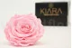Preserved Rose XXL Bridal Pink 3