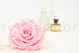 Preserved Rose XXL Bridal Pink 4