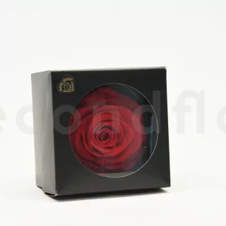 Preserved Rose XXL Red