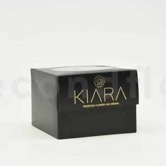 Preserved Rose XXL Red