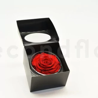 Preserved Rose XXL Red