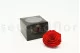 Preserved Rose XXL Red 9