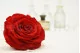 Preserved Rose XXL Red 3