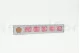 Preserved Rose XL Bridal Pink (set of 6) 9
