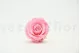 Preserved Rose XL Bridal Pink (set of 6) 7