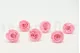 Preserved Rose XL Bridal Pink (set of 6) 3