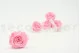Preserved Rose XL Bridal Pink (set of 6) 5