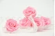 Preserved Rose XL Bridal Pink (set of 6) 4