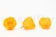 Preserved Rose XL Sunny Yellow (set of 6) 5