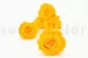 Preserved Rose XL Sunny Yellow (set of 6) 8