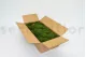Preserved Sheet Moss (Bulk Box) 3