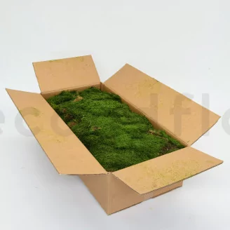 Preserved Sheet Moss (Bulk Box)