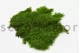 Preserved Sheet Moss (Bulk Box) 4