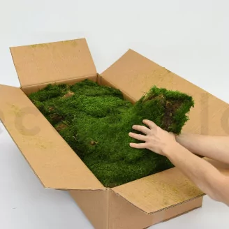 Preserved Sheet Moss (Bulk Box)